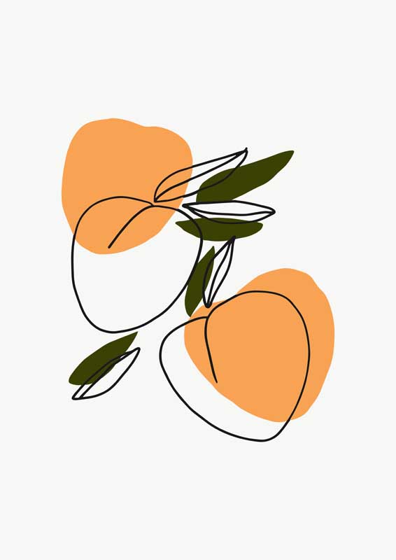 阿拉丁白桃露露